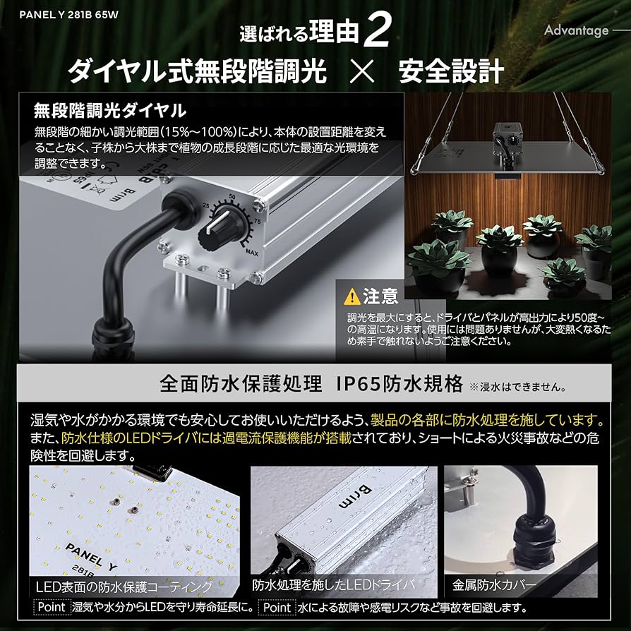 81lfFU5uC+L._AC_UF894,